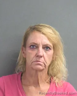 Mugshot of Robin Renee Deel booked in Volusia County, Florida on August 19, 2026
