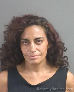Mugshot of Giannina Drysch booked in Volusia County, Florida on August 19, 2026