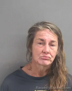 Mugshot of Erica Marie Lewellyn booked in Volusia County, Florida on August 20, 2026