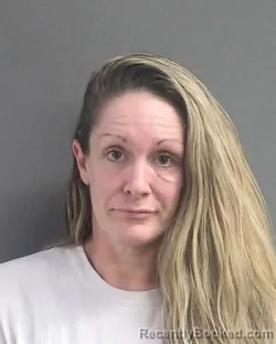 Mugshot of Lisa Marie Merriman booked in Volusia County, Florida on August 20, 2026