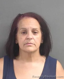 Mugshot of Nely Barbara Garcia booked in Volusia County, Florida on August 20, 2026