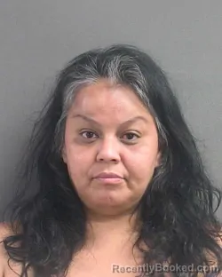 Mugshot of Cecilia Alvarez booked in Volusia County, Florida on August 24, 2026
