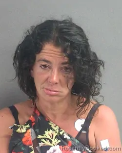 Mugshot of Amy Marie Allessandro booked in Volusia County, Florida on August 24, 2026