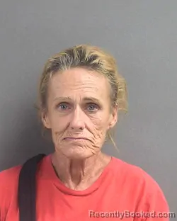 Mugshot of Shannon Kathlline Davis booked in Volusia County, Florida on August 25, 2026