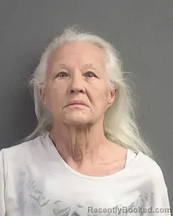 Mugshot of Joyce Anne Maywald booked in Volusia County, Florida on August 28, 2026