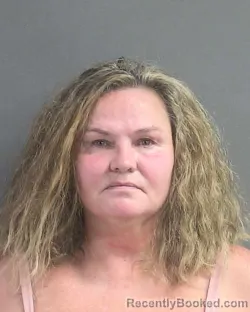 Mugshot of Barbarann Stacey Freese booked in Volusia County, Florida on August 28, 2026