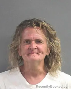 Mugshot of Heidi Mason Hemphill booked in Volusia County, Florida on August 29, 2026
