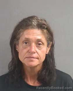 Mugshot of Claudine Benedicta Driskill booked in Volusia County, Florida on August 31, 2026
