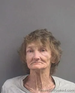 Mugshot of Nicki Lou Esterman booked in Volusia County, Florida on September 2, 2026