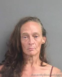 Mugshot of Jennifer R Stefancik booked in Volusia County, Florida on September 2, 2026