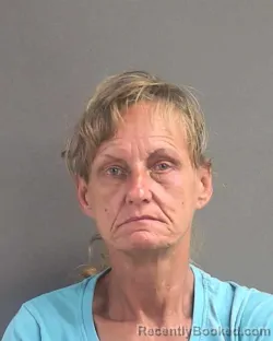 Mugshot of Carol Darlene Townsel booked in Volusia County, Florida on September 3, 2026
