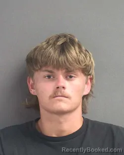 Mugshot of Dayton Rylie Domingus booked in Volusia County, Florida on September 3, 2026