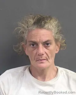 Mugshot of Heather Dawn Daniels booked in Volusia County, Florida on September 19, 2026