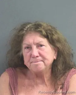 Mugshot of Susan Glenease Graham booked in Volusia County, Florida on September 20, 2026