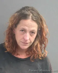 Mugshot of Cynthia C Carlier booked in Volusia County, Florida on September 20, 2026