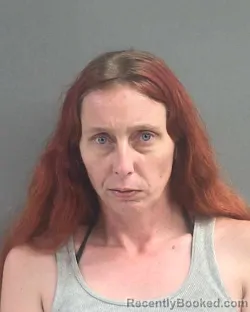 Mugshot of Melissa Ruth Lionetti booked in Volusia County, Florida on September 22, 2026