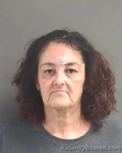 Mugshot of Lori Michele Bizzaro booked in Volusia County, Florida on September 24, 2026