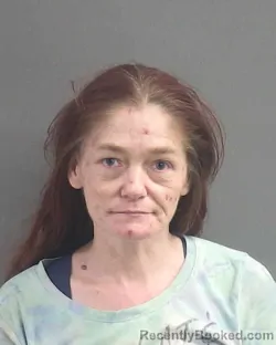 Mugshot of Mary Margaret Downes booked in Volusia County, Florida on September 28, 2026