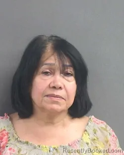 Mugshot of Luz Aida Pacheco booked in Volusia County, Florida on October 4, 2026
