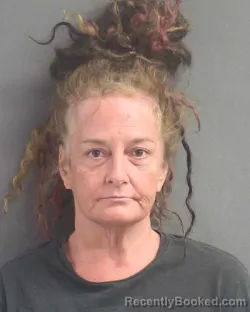 Mugshot of Ann Marie Zilembo booked in Volusia County, Florida on October 4, 2026