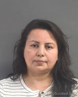 Mugshot of Elia Tinajero-Madrid