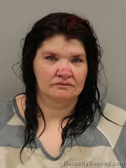 Mugshot of ANDREA SNYDER booked in Preble County, Ohio on April 3, 2026