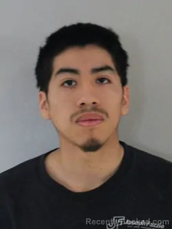 Mugshot of LUIS ANGEL ROMERO