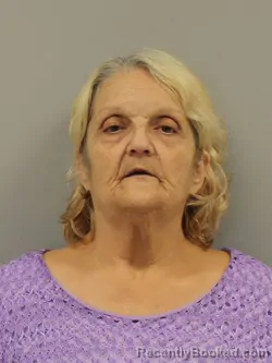 Mugshot of Fleurette J Ellis booked in Preble County, Ohio on September 1, 2026