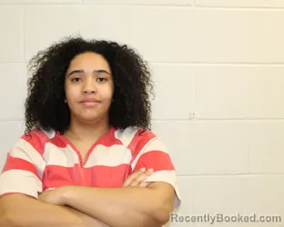 Mugshot of ADRIENNE RANELLE TRICE