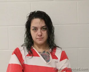 Mugshot of LINDSEY RENEE PICHACZ booked in Putnam County, Ohio on May 8, 2026