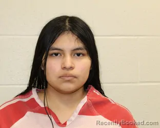 Mugshot of BELINDA LIZET ROBLERO ZUNUN