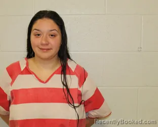 Mugshot of MANUELA MOLLY PARDO booked in Putnam County, Ohio on June 20, 2026