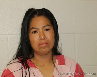 Mugshot of Floridalina Verdugo Ramirez booked in Putnam County, Ohio on August 24, 2026