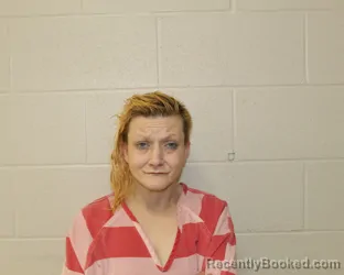 Mugshot of DANIELLE NICOLE BAILEY