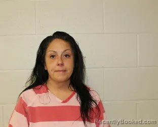 Mugshot of TRAYLIE LYNN PARDO booked in Putnam County, Ohio on June 2, 2026