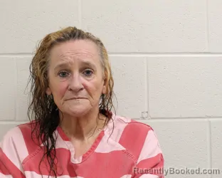 Mugshot of NIKKI ELIZABETH BOYED booked in Putnam County, Ohio on May 11, 2026