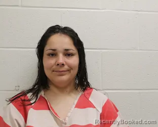 Mugshot of SHELLBY LYNN LARSON booked in Putnam County, Ohio on April 14, 2026