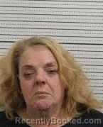 Mugshot of KARIN S JOHNSON