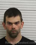 Mugshot of TRACY LEE TACKETT