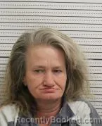 Mugshot of TONYA K WILSON