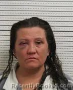 Mugshot of ERICA M COPP booked in Ross County, Ohio on March 4, 2026