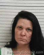 Mugshot of JESSICA D VANHOY booked in Ross County, Ohio on March 7, 2026