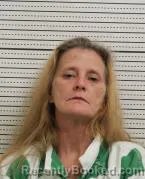 Mugshot of VIOLET MICHELLE WELCH