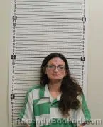 Mugshot of AMBER D HINSHAW booked in Ross County, Ohio on March 28, 2026