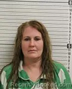 Mugshot of JANIE POWELL booked in Ross County, Ohio on April 1, 2026