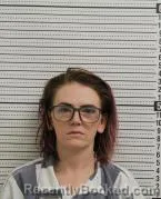 Mugshot of BRITTANY DAWN RISNER booked in Ross County, Ohio on April 1, 2026