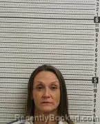 Mugshot of HEIDI SPURLOCK booked in Ross County, Ohio on April 3, 2026