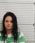 Mugshot of HOLLY MARIE SKEANS booked in Ross County, Ohio on June 17, 2026