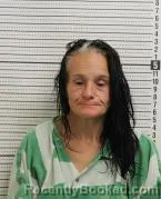 Mugshot of MONICA ROXANNE JORDAN booked in Ross County, Ohio on July 14, 2026