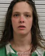 Mugshot of Alysia Nicole Jasmine Wilson booked in Ross County, Ohio on August 30, 2026